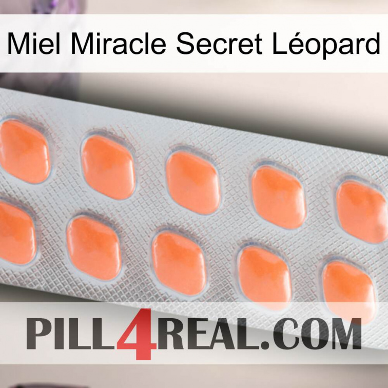 Miel Miracle Secret Léopard 26
